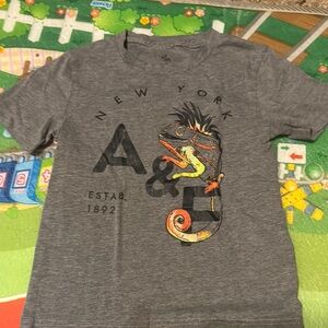 Gray Graphic T-Shirt with Chameleon Design